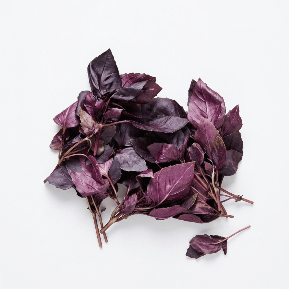 Reyhan - 25G PaketSebzeler