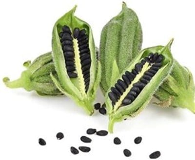 Siyah Susam 100 gr