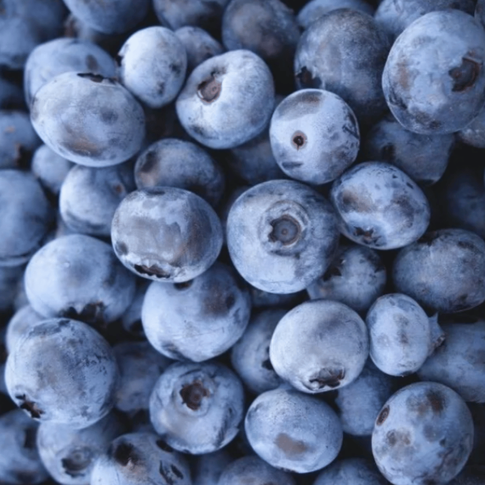Taze Jumbo Yaban Mersini (Blueberry)Yaban Mersini ve Orman Meyveleri