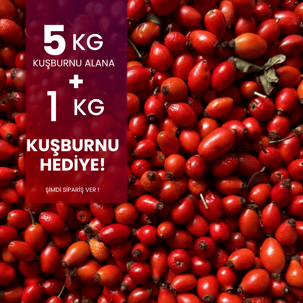 Taze Kuşburnu 5 Kg alana 1 Kg HediyeMevsim Meyveleri