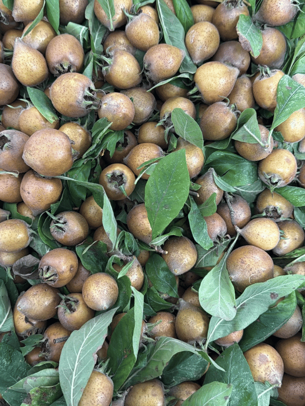 Taze Muşmula 1 kg
