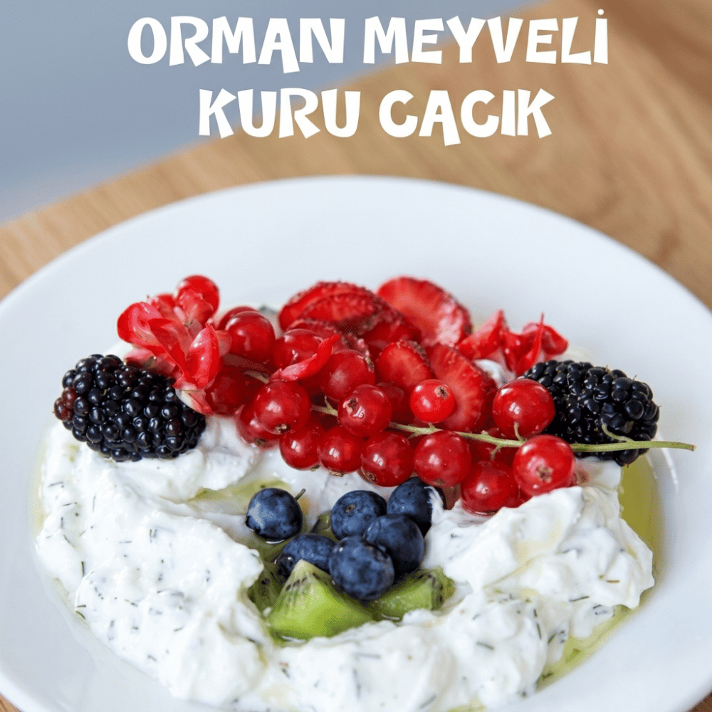 Taze Tarif Orman Meyveli Kuru CacıkTaze Tarifler