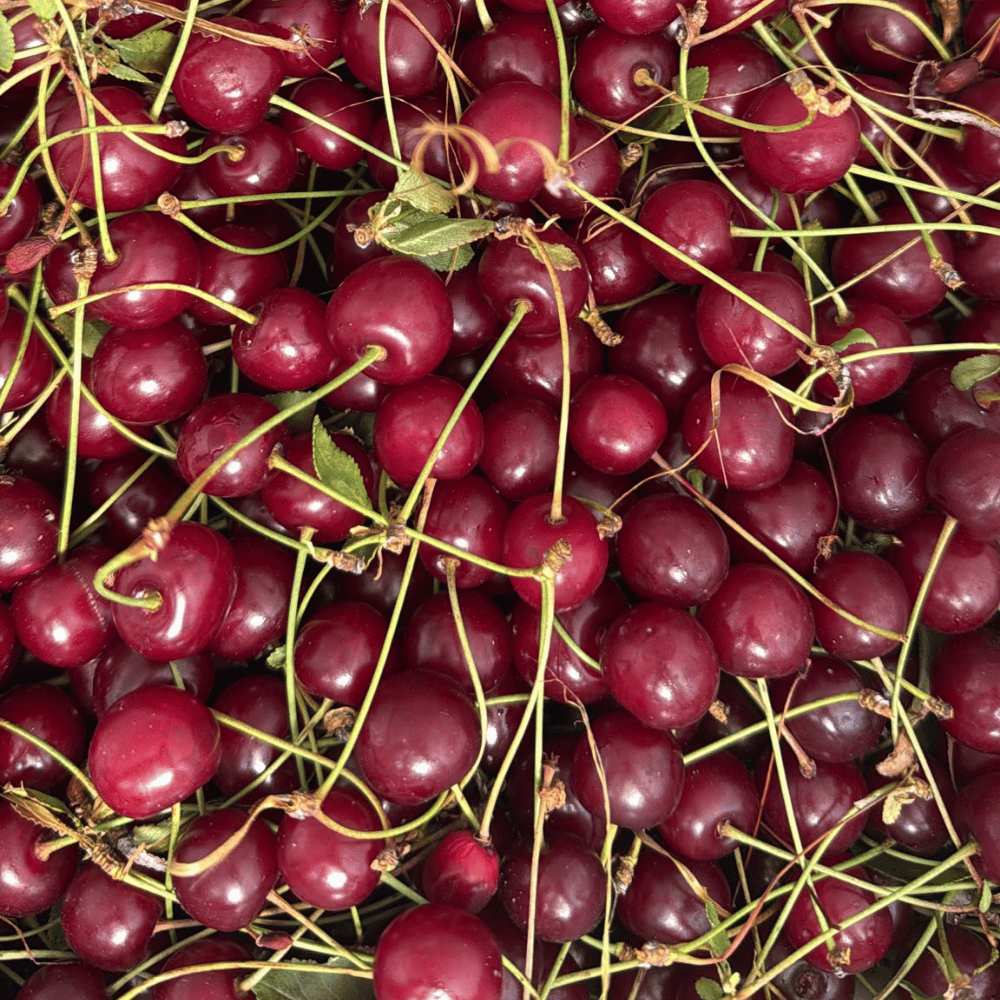 Vişne 1kg (Sadece İstanbul - Bursa ve Yalova Teslim)Meyve Sebze