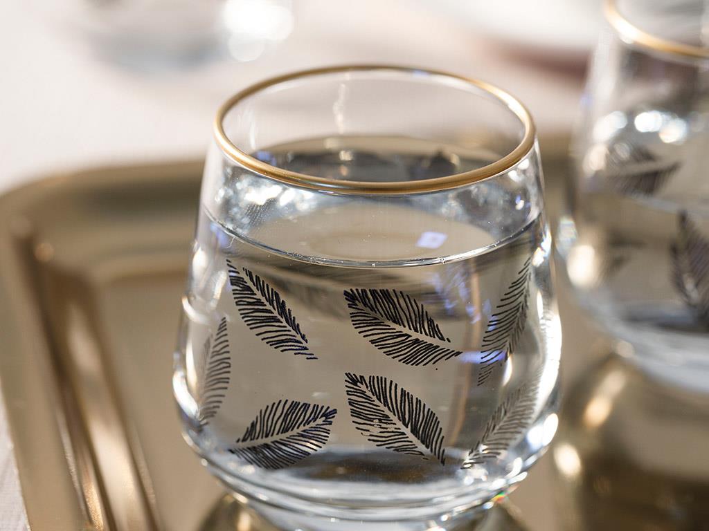 Birdena Glass 6 Set Served with Coffee Water Glass 115 ml Black-Gold