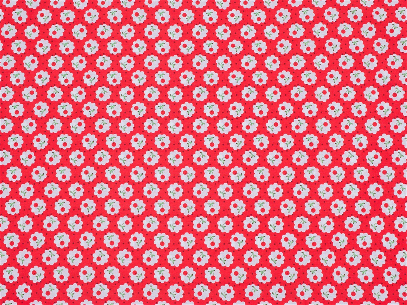 Combină de cireș acru # 2 set 50x70 cm roșu