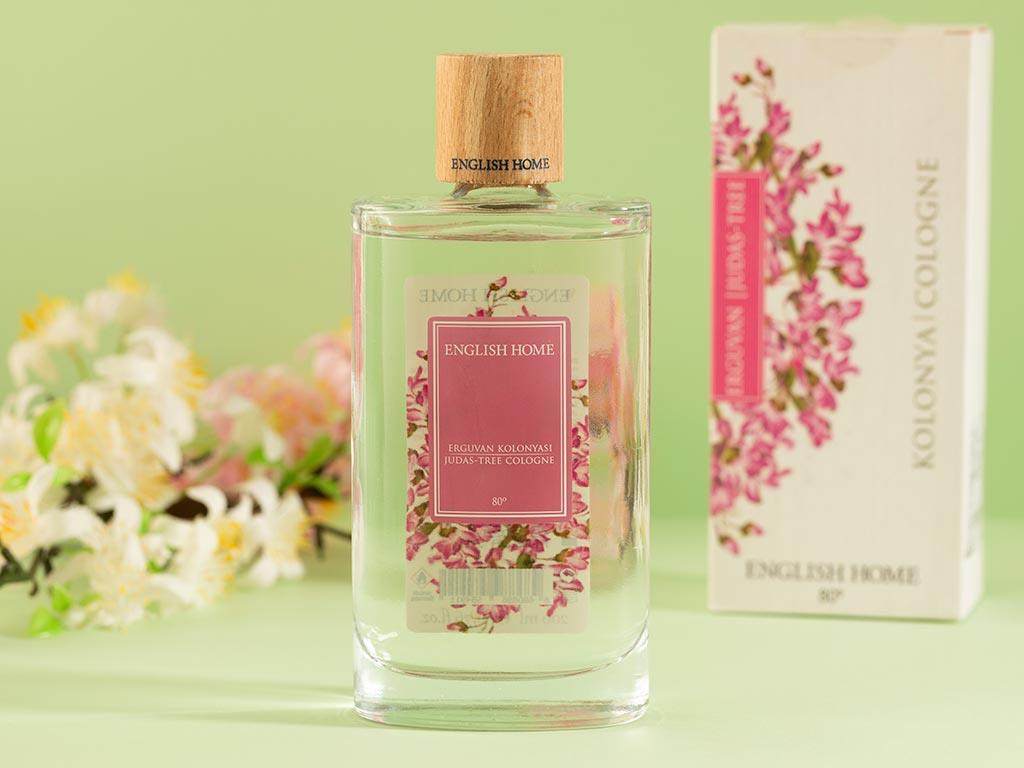 Iuda-tree COLONIE 200 ml White