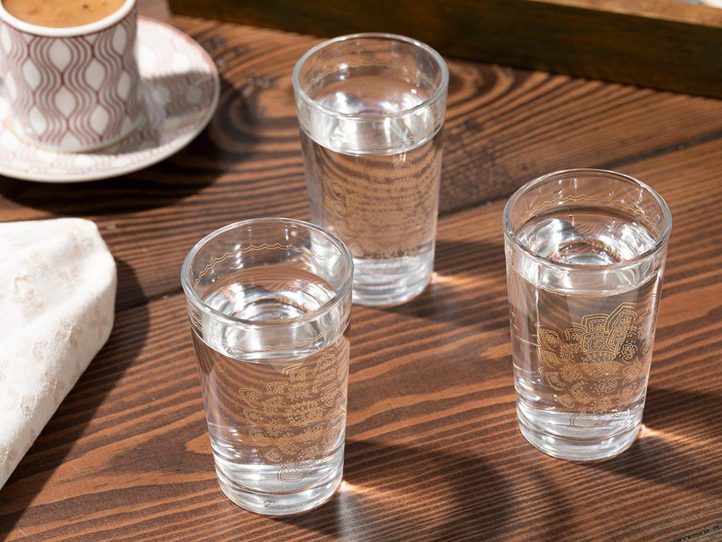 Luba Glass 6 Set Served with Coffee Water Glass 100 ml Gold