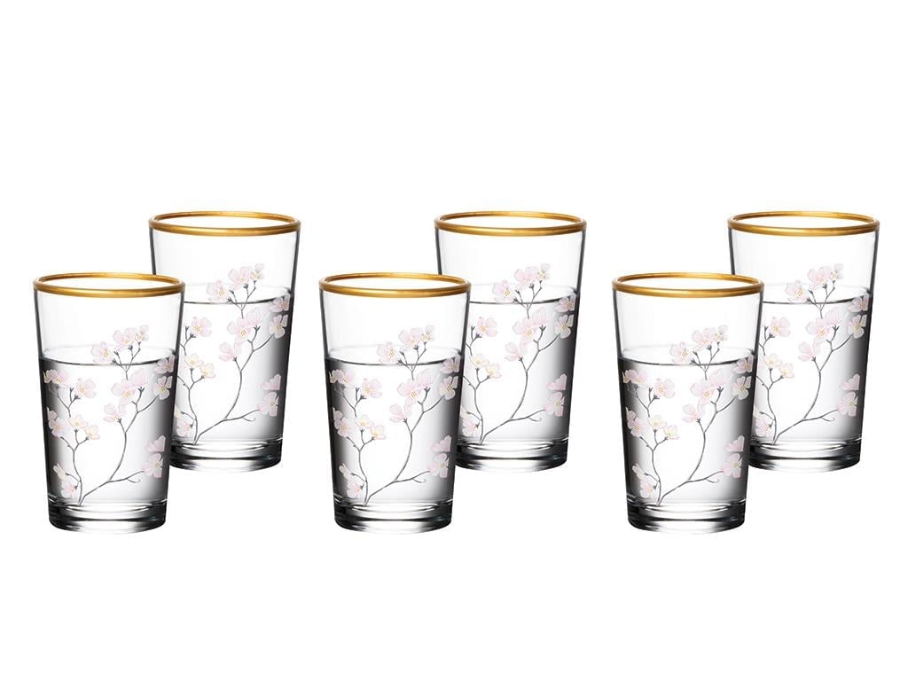 Marla Glass 6 Pcs for Coffee Side Water Glass 100 ml Colored