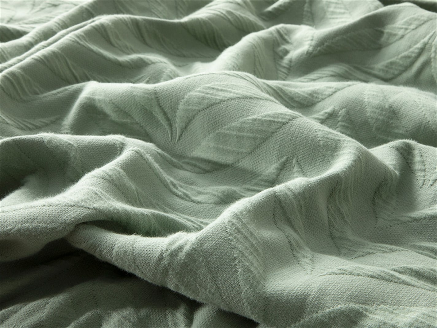 Pleomele  Pentru o persoana 160x240 cm Verde deschis