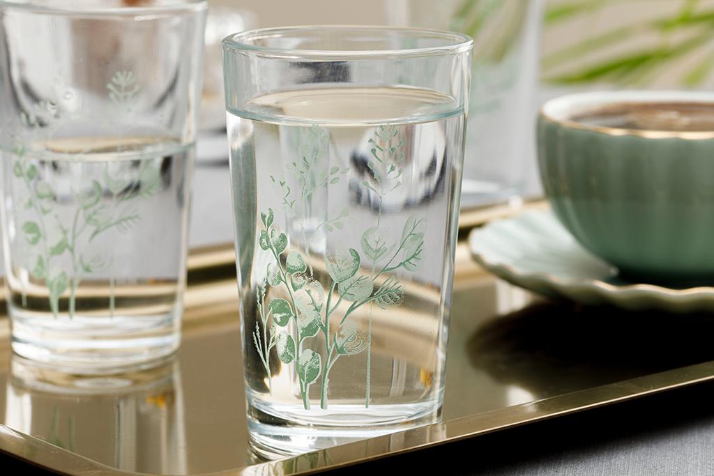 Rosses Glass 6 Set Served with Coffee Water Glass 100 ml Green