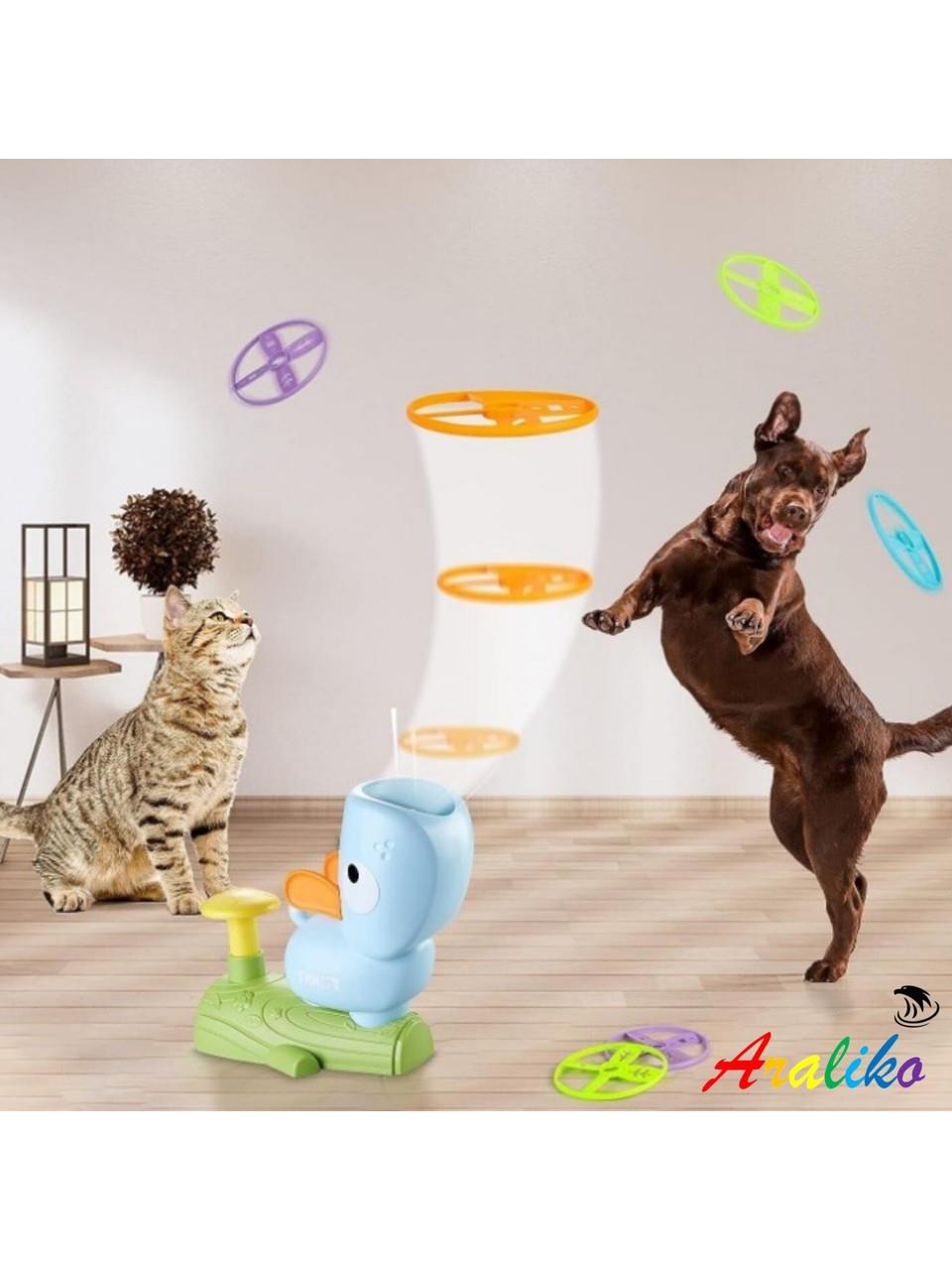 Araliko uçan disk yakalama oyunu mavi köpek