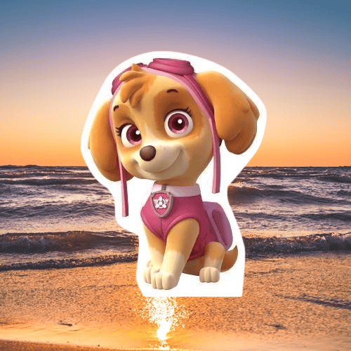 Ayaklı pano PAW PATROL-SKY 32*24 cm Doğum Günü Masa Dekoru- Oda Süsü