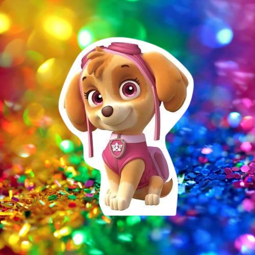 Ayaklı pano PAW PATROL-SKY 32*24 cm Doğum Günü Masa Dekoru- Oda Süsü