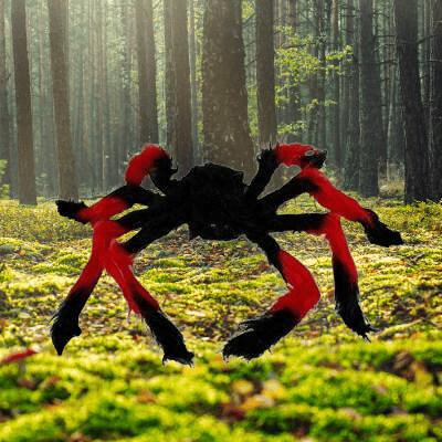 Cadılar Bayramı Halloween Örümcek Figür 50 Cm Siyah-Kırmızı Tüylü Korku dekoru