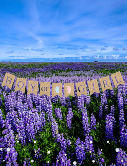 Cinsiyet Banner Cinsiyet Jüt Görünümlü Boy Girl 10