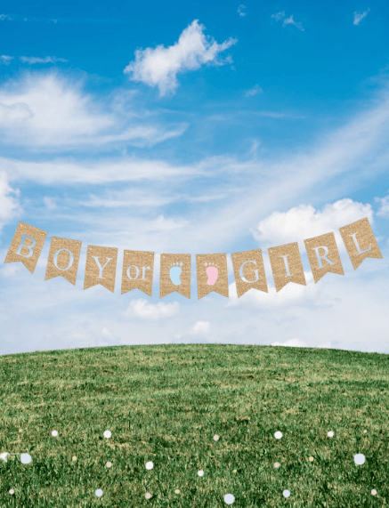 Cinsiyet Banner Cinsiyet Jüt Görünümlü Boy Girl 10