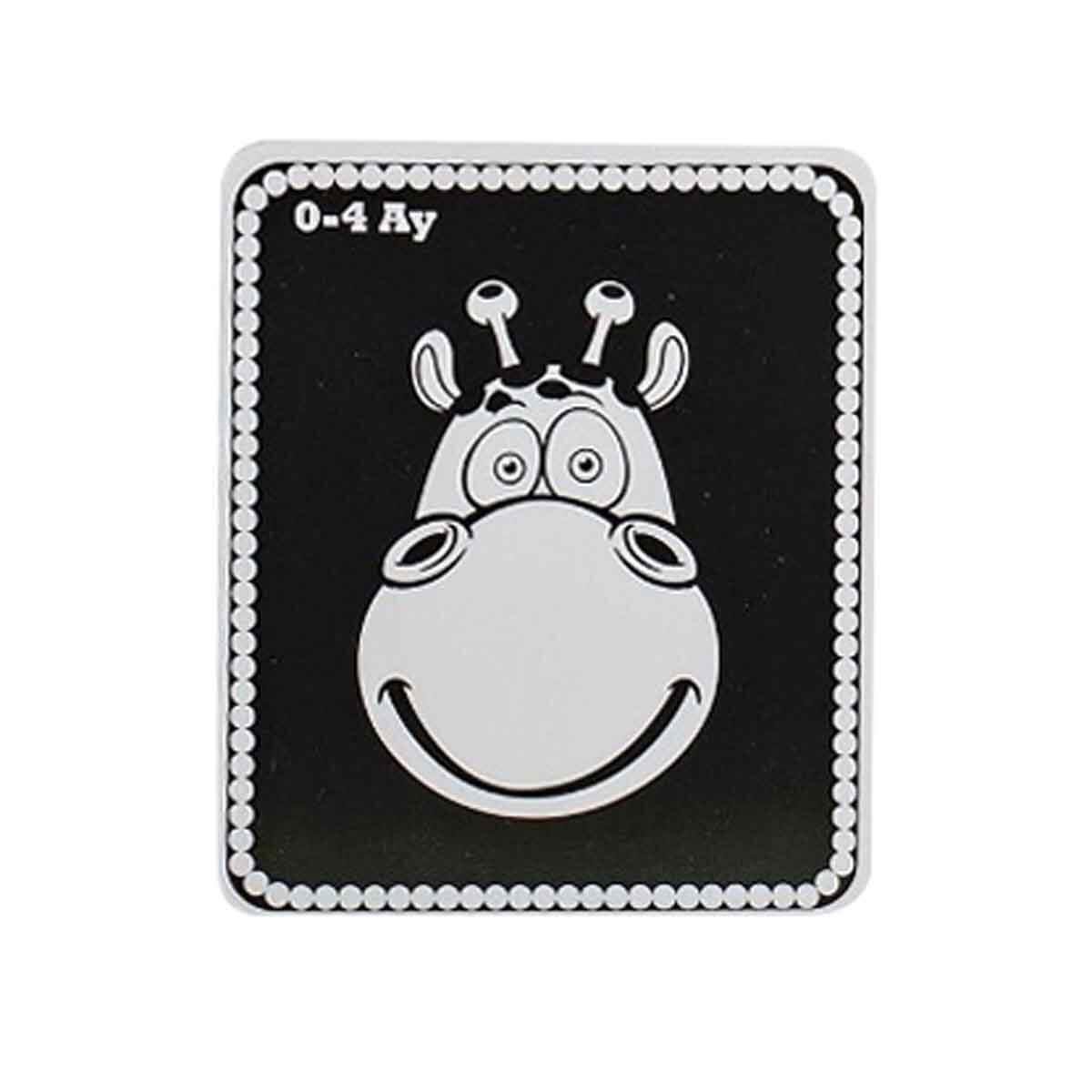 Diytoy Cards Book Bebeğim İlk Zeka Kartları