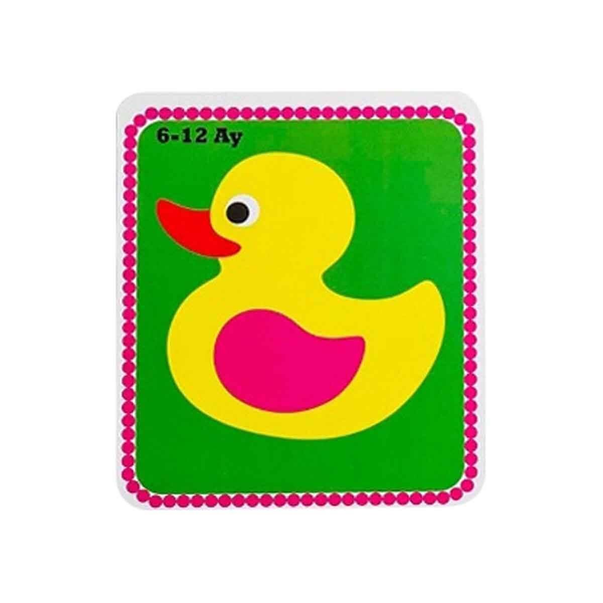 Diytoy Cards Book Bebeğim İlk Zeka Kartları