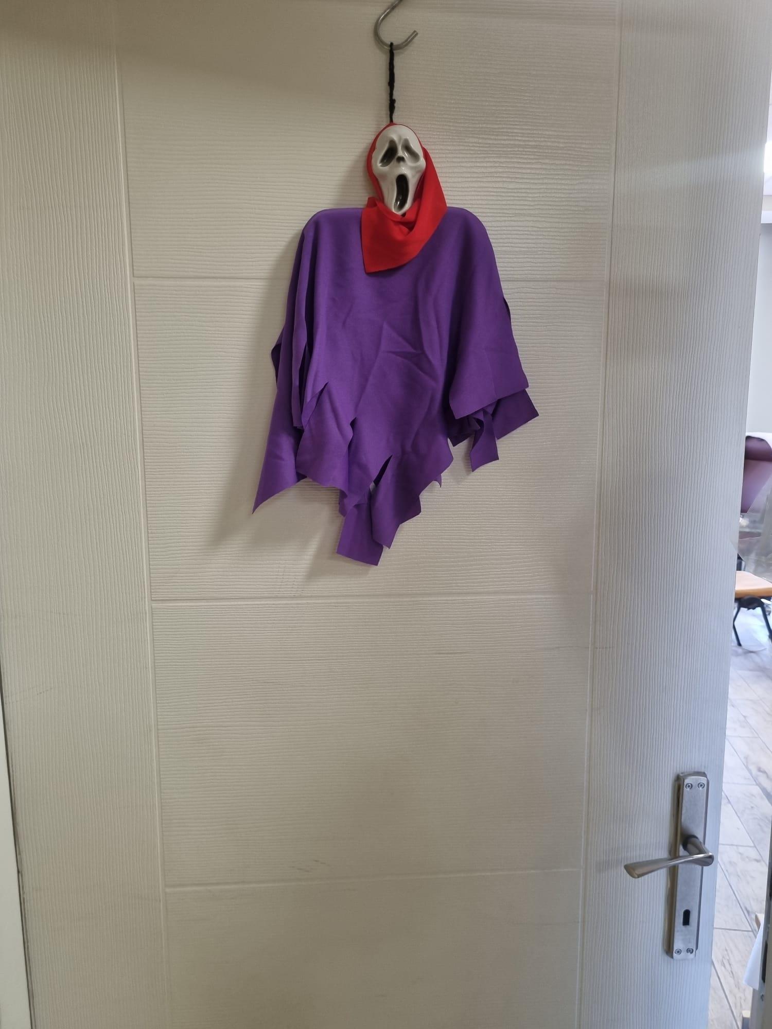 Halloween Cadı.Bayİskelet çığlık mor-kırmızı    