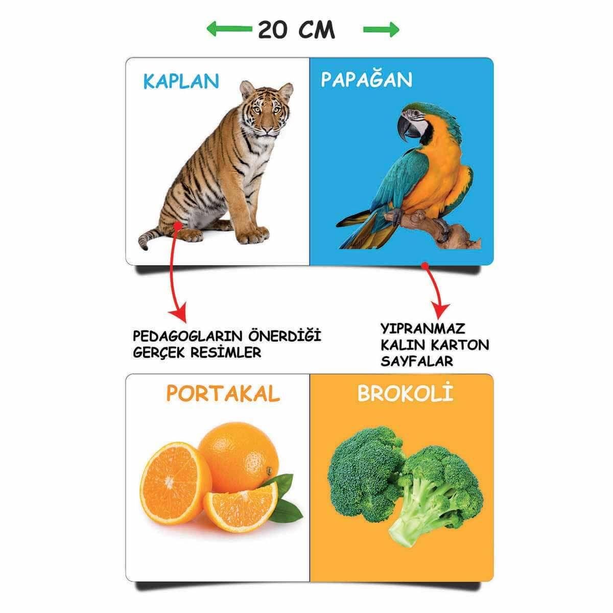 İlk Kütüphanem İlk Sözcükler 8li Mini Kitap Set