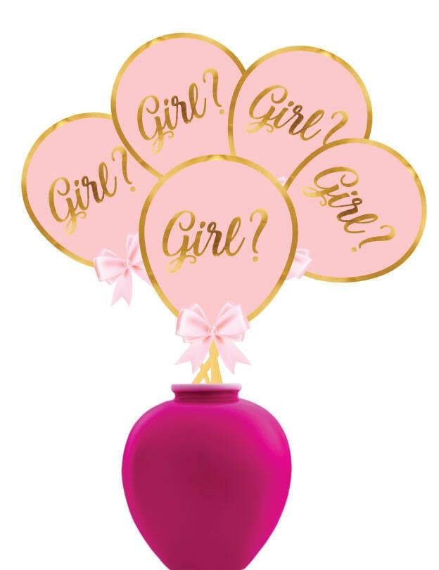 Konuşma balonu 5li Set Girl ? Pembe Cinsiyet Partisi Aksesuarı 12x17cm