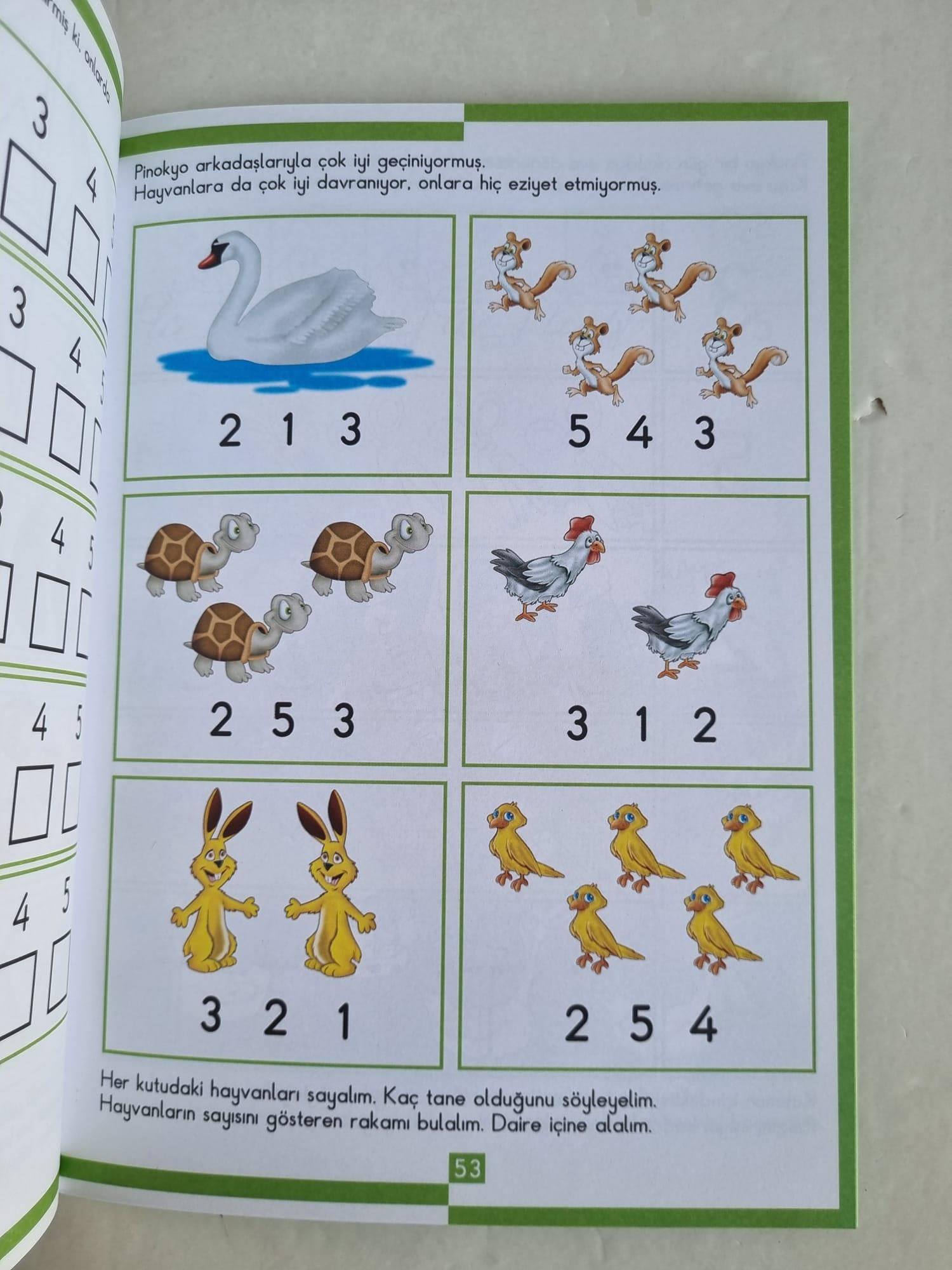Masallarla kavramlar Bir varmış Bir yokmuş Pinokyo ile MATEMATİK 1 Sıra dışı okul öncesi eğitim ve aktivite seti