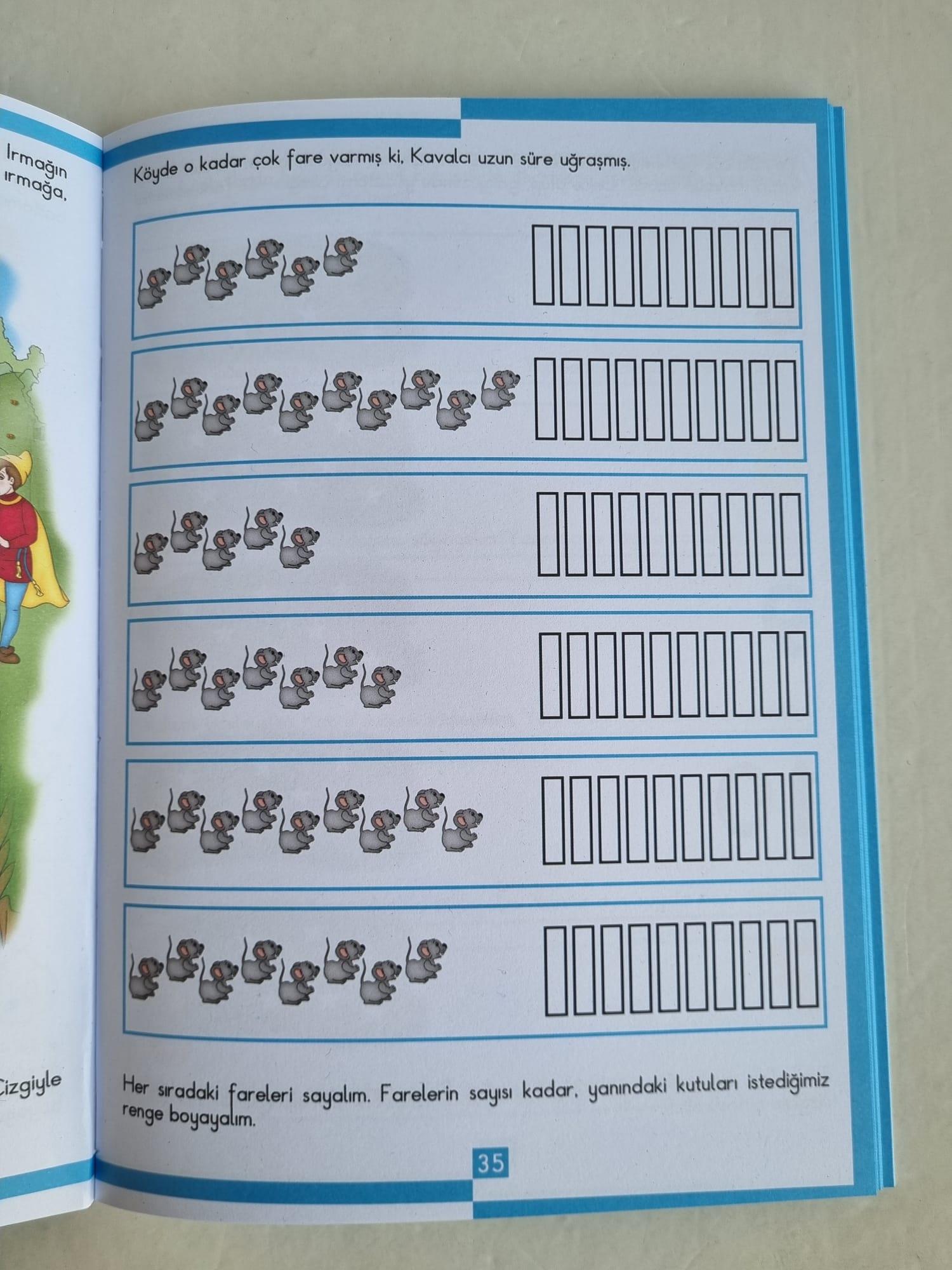 Masallarla kavramlar Bir varmış Bir yokmuş Fareli Köyün Kavalcısı ile MATEMATİK 2 Sıra dışı okul öncesi eğitim ve aktivite kitabı