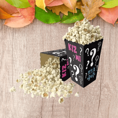 Mısır Kutusu Cinsiyet Belirleme Partisi pop corn 8 li Cinsiyet Partisi Malzemesi