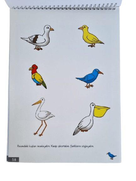Öykülerle Öğreniyorum Okul Öncesi 5-6 yaş Çocuklar İçin Aktivite-Etkinlik-Boyama kitabı 68sf