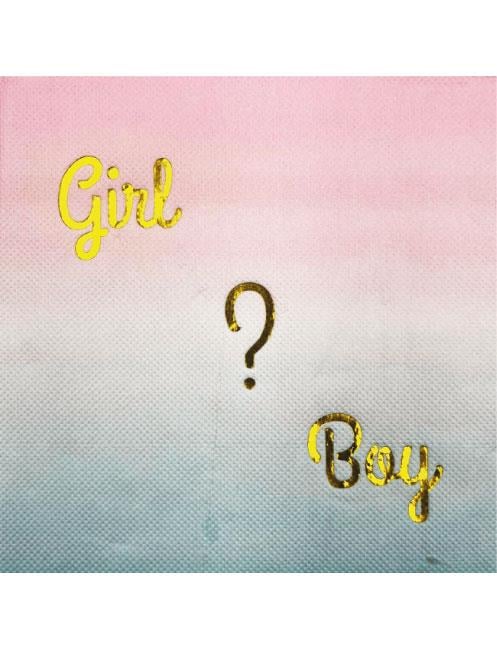 Peçete Cinsiyet Partisi Peçetesi Pembe Mavi Geçişli Girl Boy Yazılı Lüks Cinsiyet Peçetesi