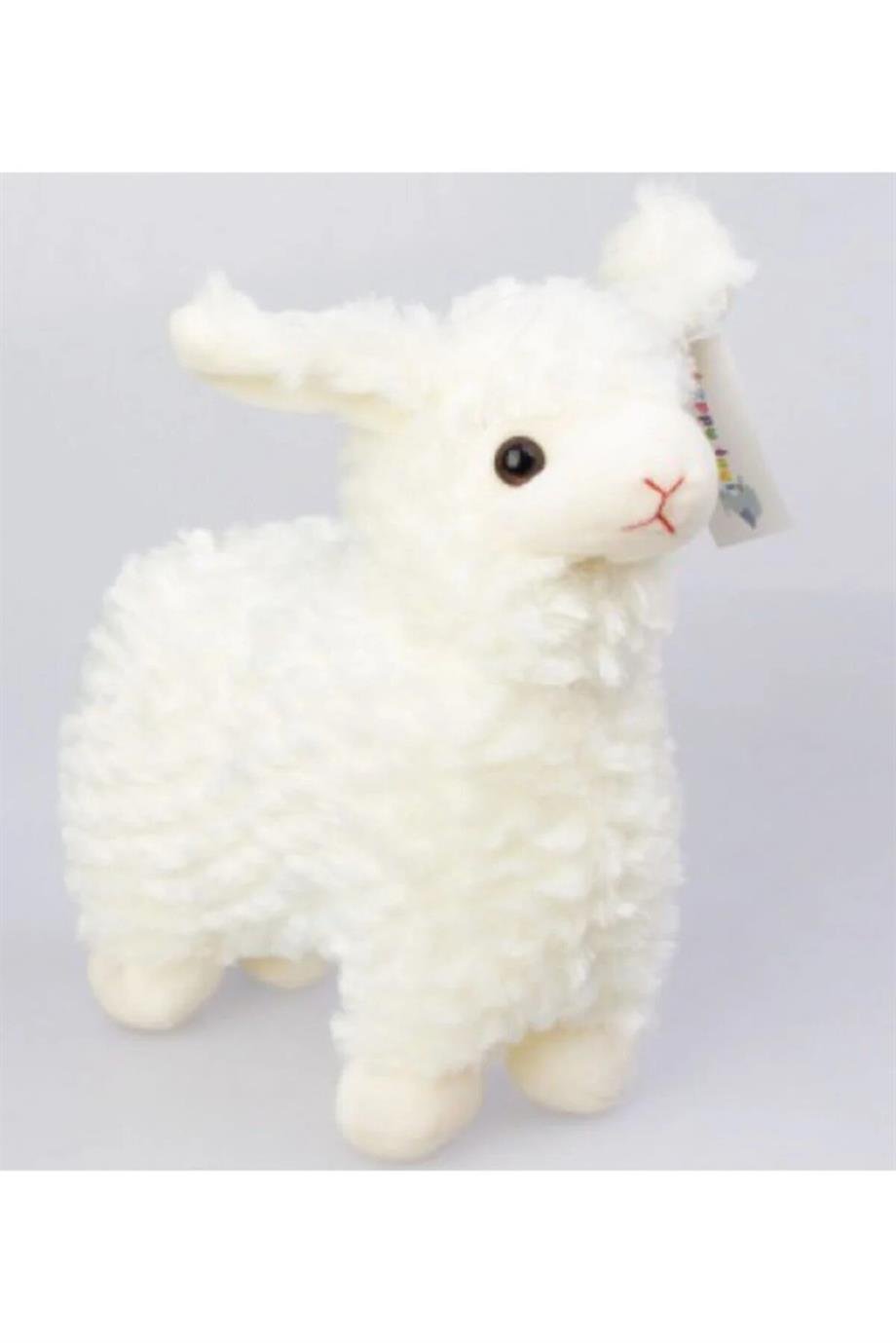 Peluş Kuzu Sesli                    