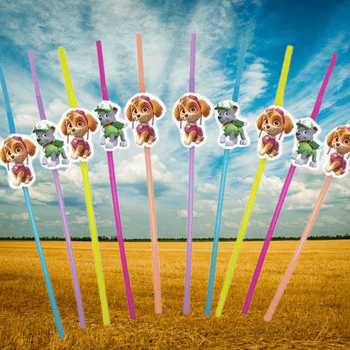 Pipet PAW PATROLSKY 10 lu artistik pipet