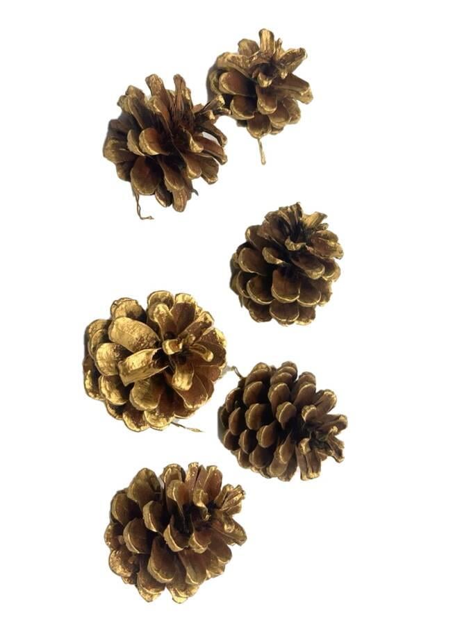 Yılbaşı ağaç  kozalak 4cm 6lı vernikli altın karlı