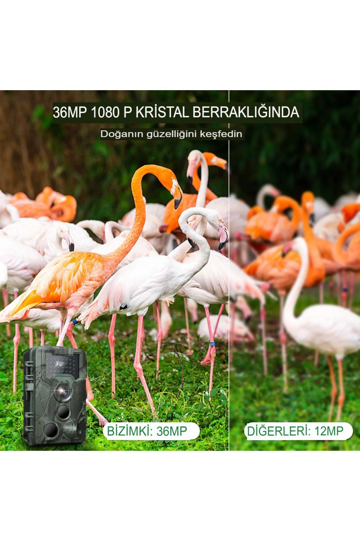 Foto Kapan 36MP 1080P takip kamerası gece görüş 3 PIR sensörleri ile IP66 kızılötesi avcılık kamera
