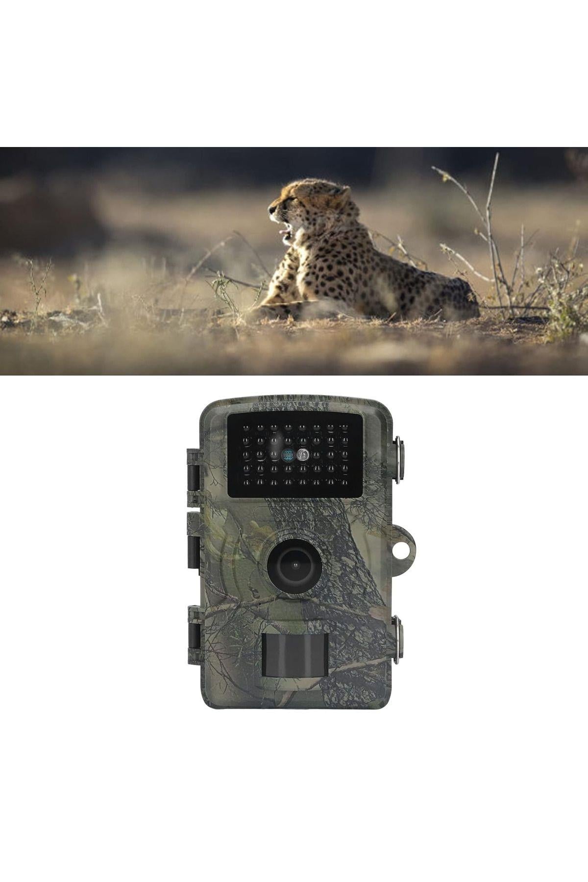Foto Kapan Takip Kamerası İzcilik Avcılık Kamerası Yaban Hayatı İzleme 1080P IP66 için 38 LED'li