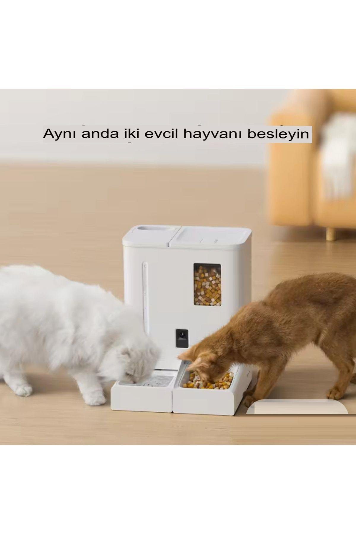 Kameralı Evcil Hayvan Mama ve Su Dağıtıcı Seti 2'si 1 Arada Otomatik Kedi Mama ve Su Çeşmesi