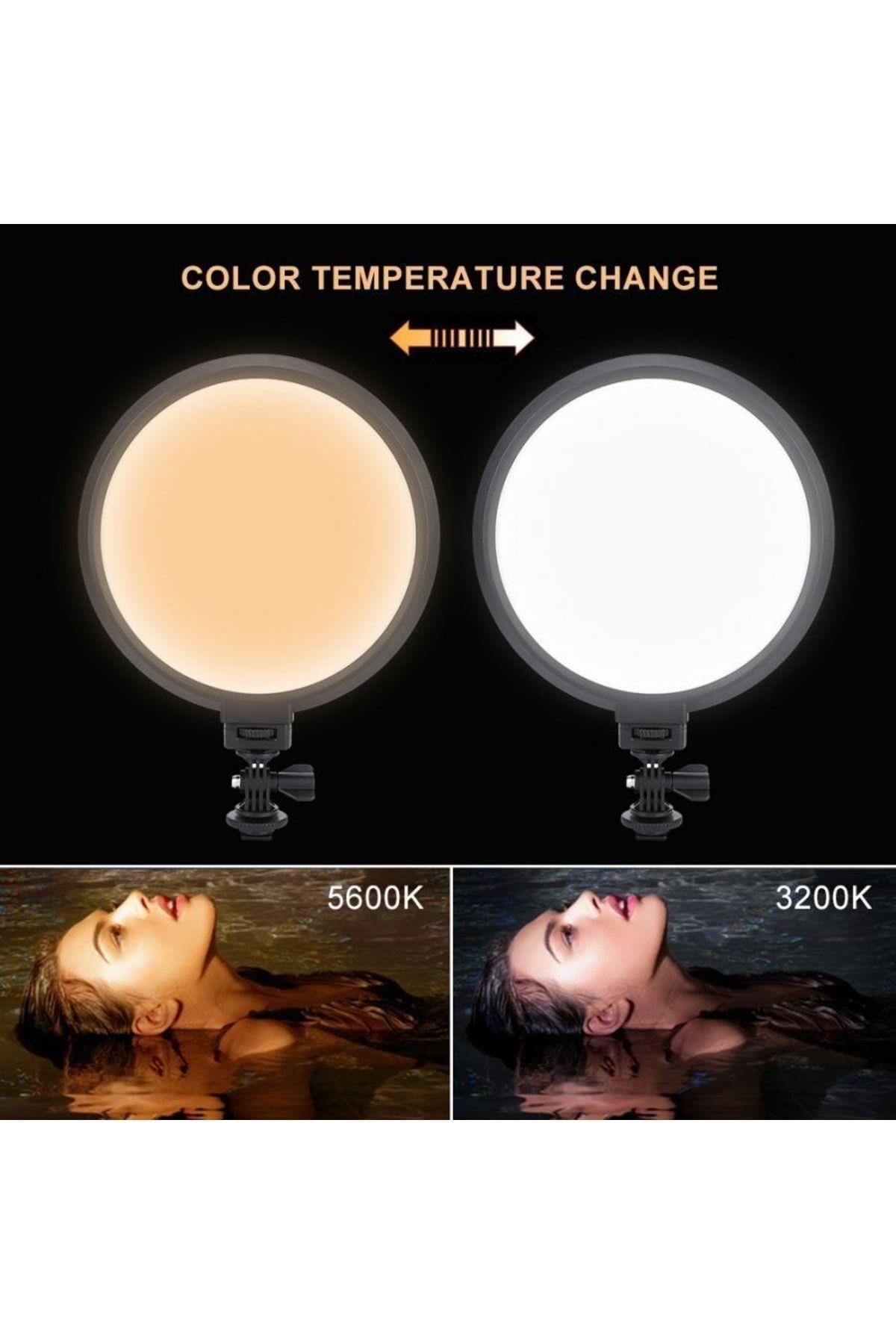 Yeni Profesyonel Ring Light Led Influencer Güzellik Salonu Tatto Tiktok Youtuber Çekim Dolgu Işığı