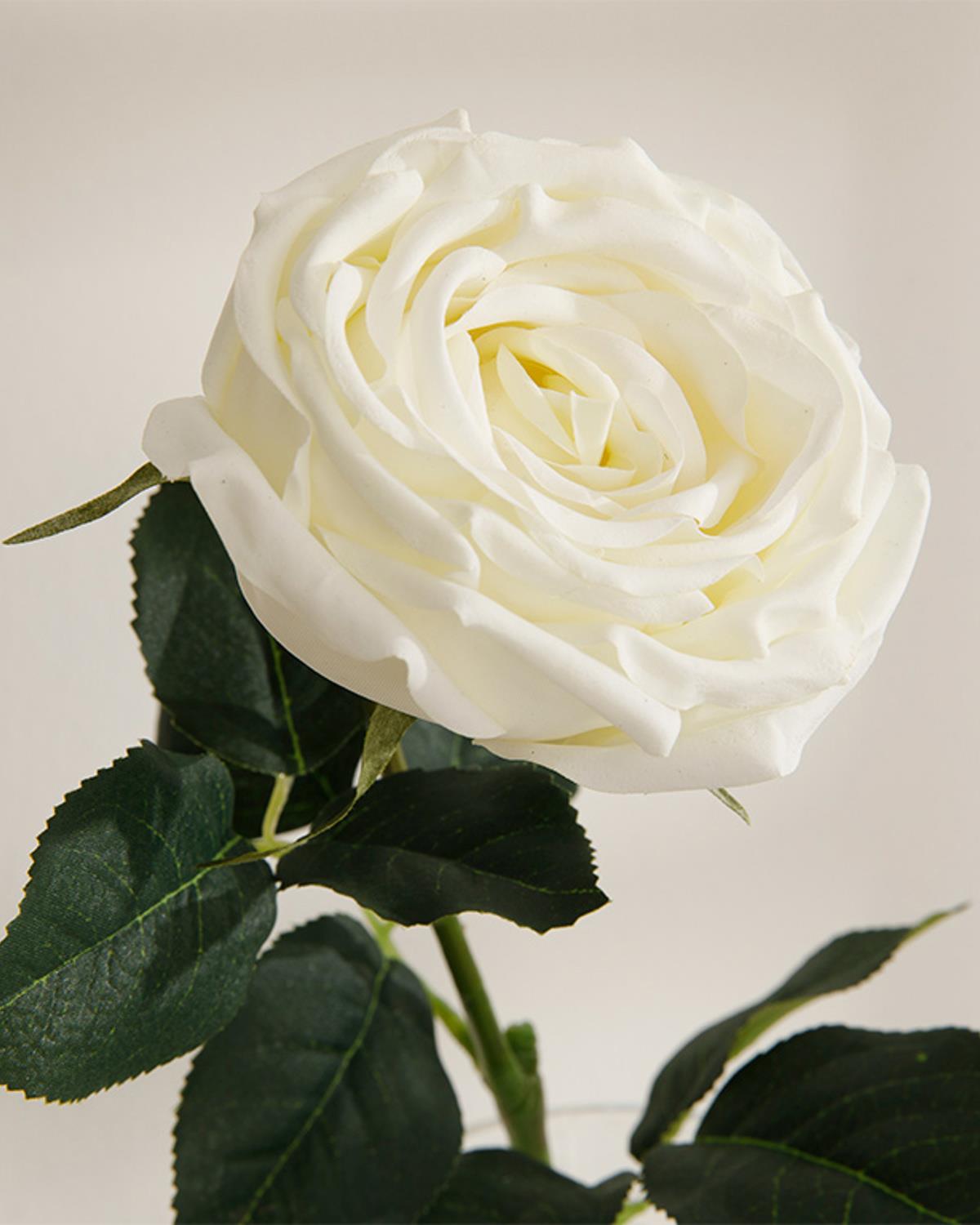 Adverse Изкуствено Цвете Един Стрък Плат 62 см Бял