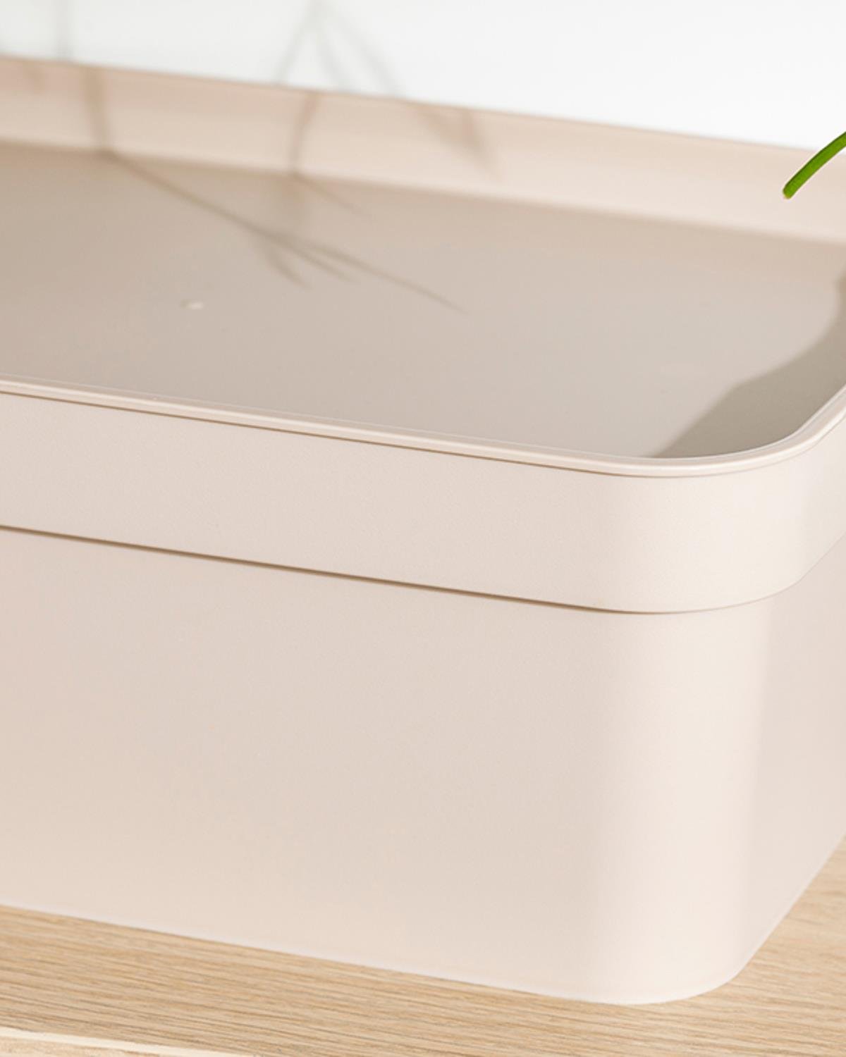 Basıc Кутия За Съхранение 32x11x16 см Бежов