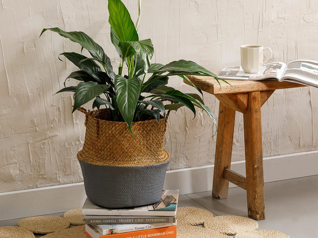 Bran Кошница Слама 25x32 см Бежов - Сив