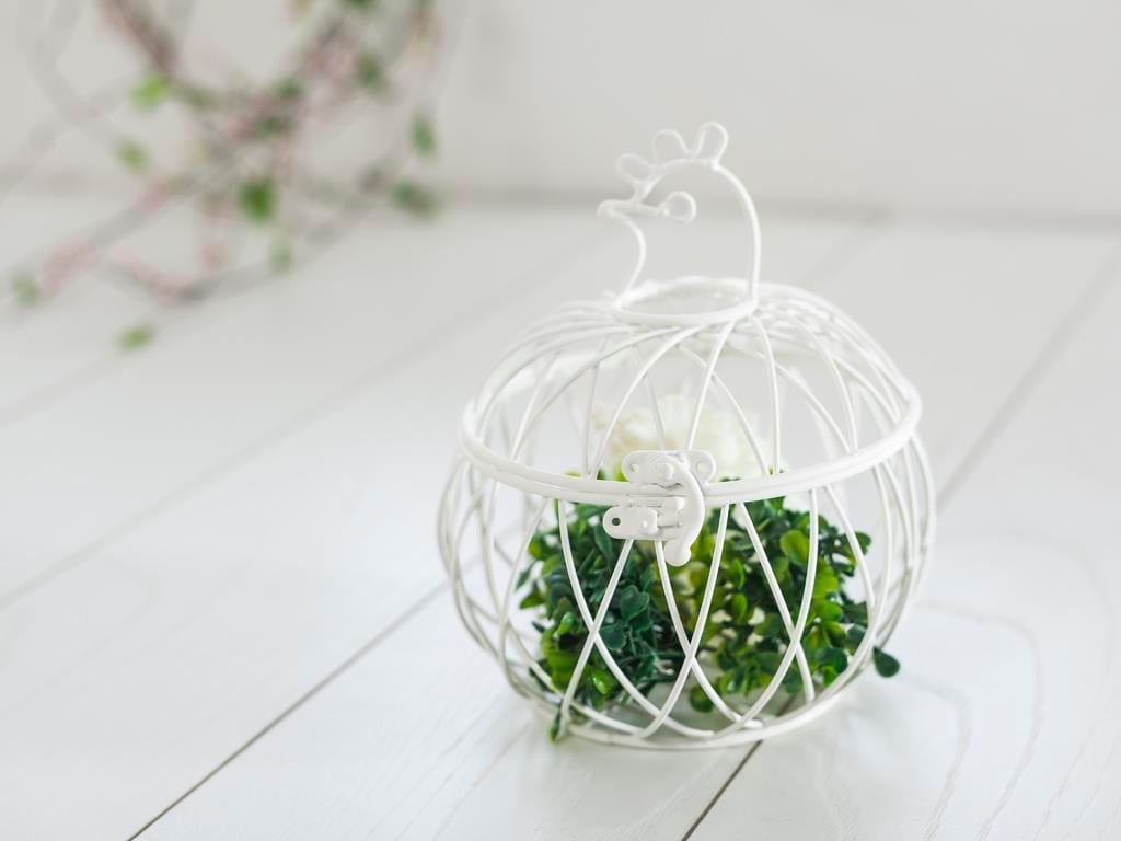 Chicken КОШНИЦА Ковано желязо White