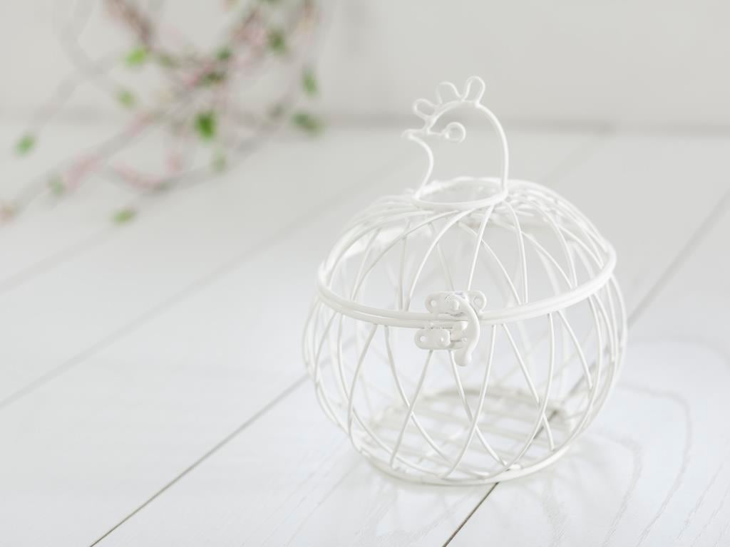 Chicken КОШНИЦА Ковано желязо White