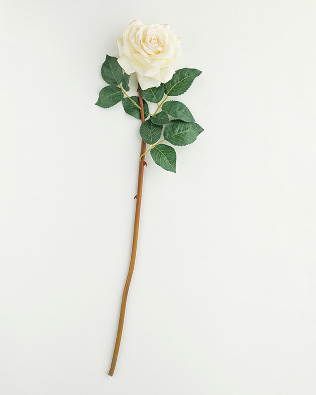 Classy Rose Една Клонка Изкуствено Цвете Пластмасов, Бяло, 64 Cm