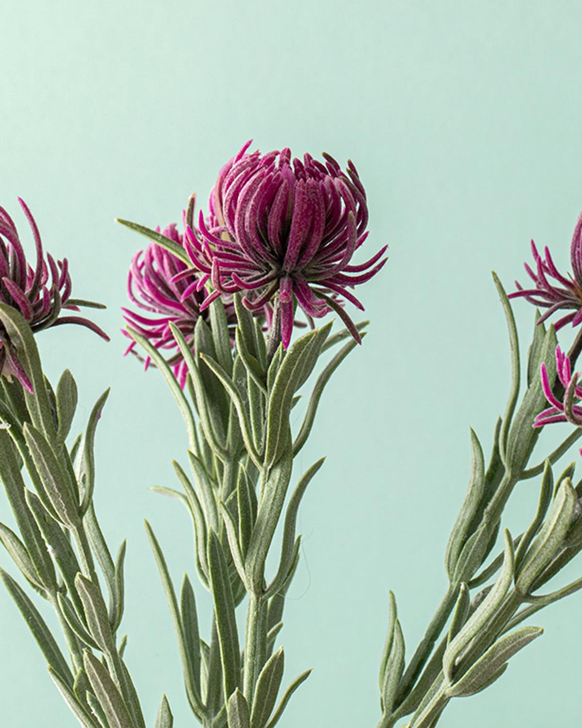 Daisy Dream Artificial Flower - One Pc 35 cm Purple