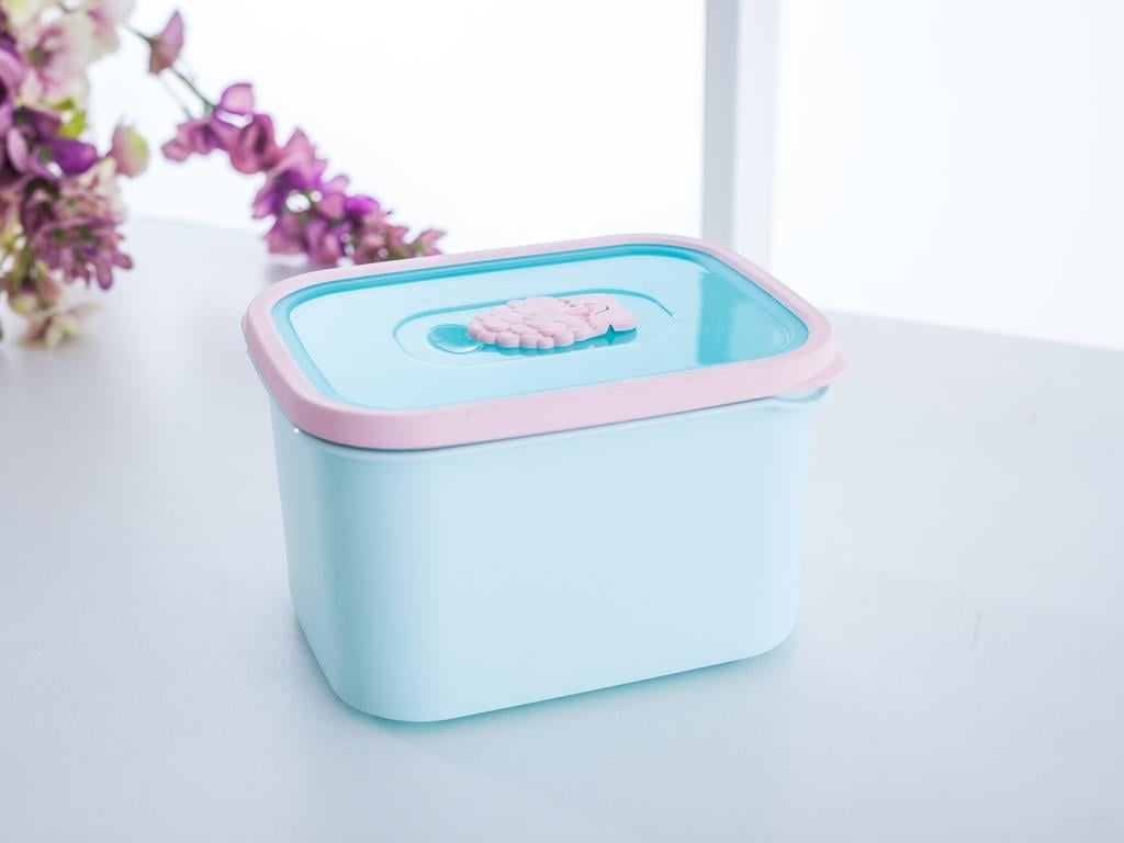 Drew КУТИЯ ЗА СЪХРАНЕНИЕ Пластмасов Mint