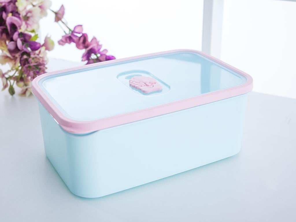 Edwin КУТИЯ ЗА СЪХРАНЕНИЕ Пластмасов 3,5L Mint