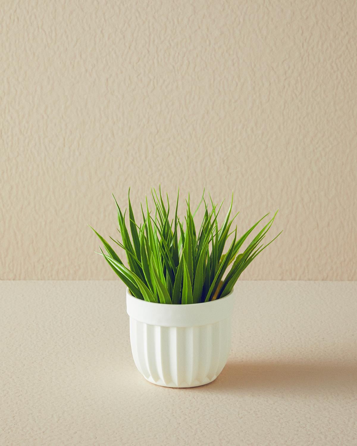 Grass Изкуствено Цвете С Ваза 13x13x18 см Бял