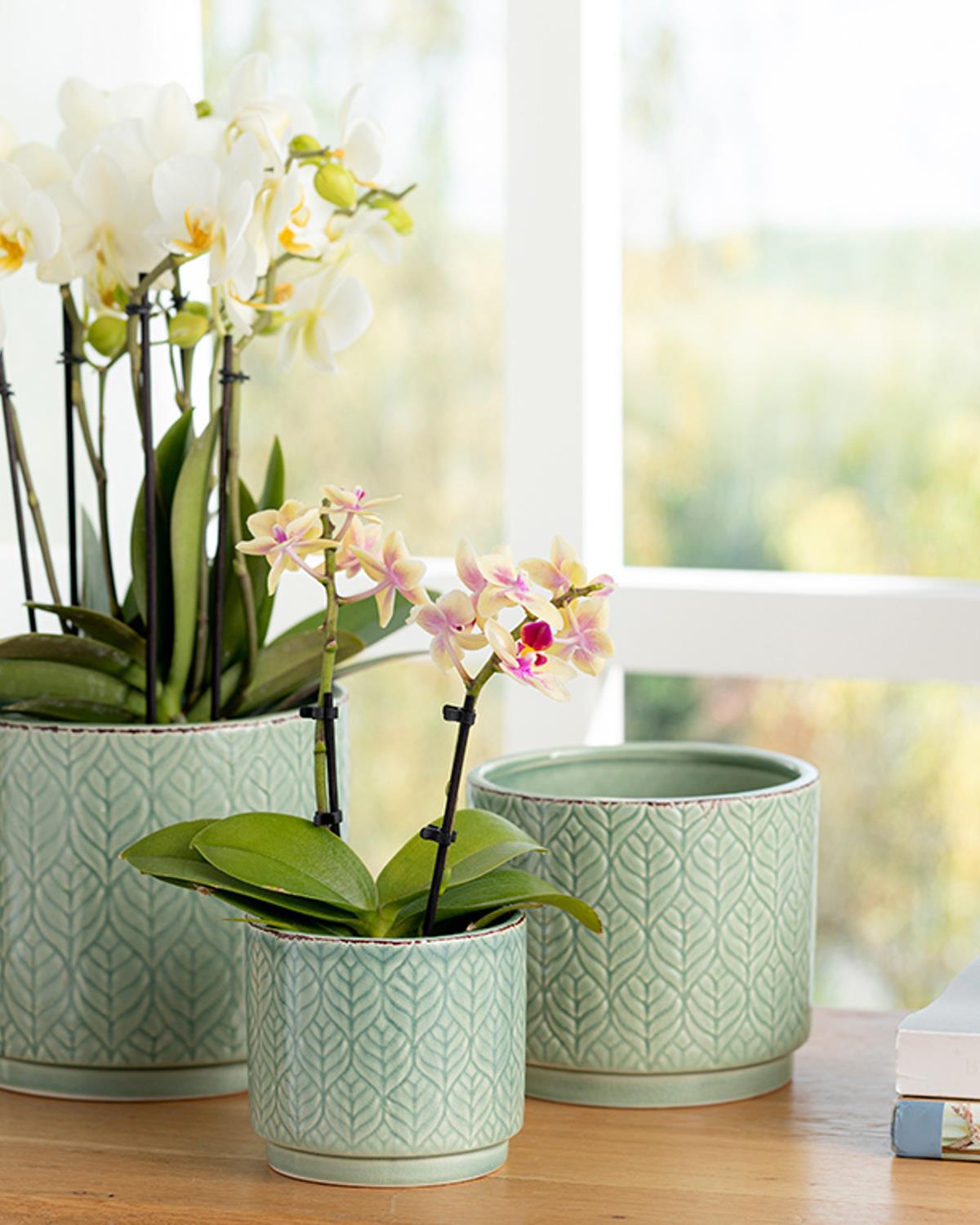 Leafy Саксия 10.2x10.2x9.3 см Зелен