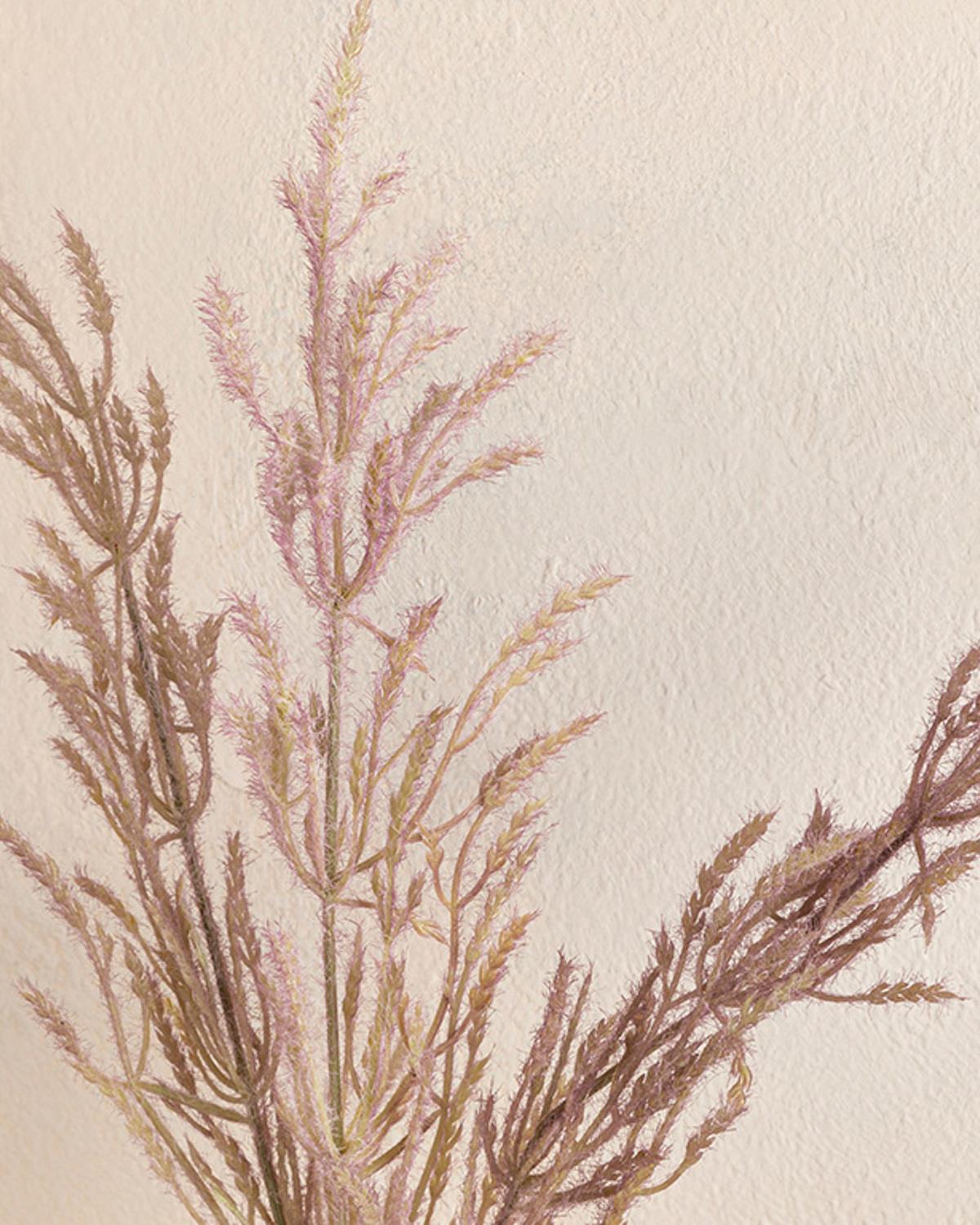 Pampas Изкуствено Цвете Един Стрък Пластмаса 70 см Виолетов..