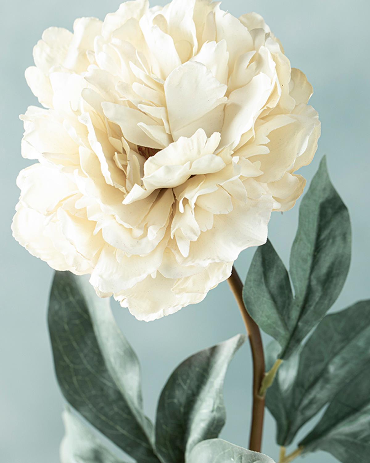 Peony Dream Изкуствено Цвете Един Стрък 75 см Бял